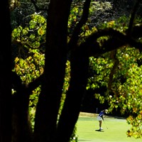 木々の間から 2024年 Vポイント×ENEOS ゴルフトーナメント 2日目 金澤志奈