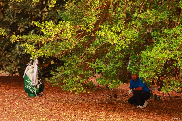 Hole18ティショットが木の下に