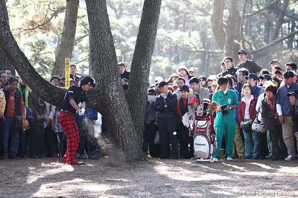 2010年 ダンロップフェニックストーナメント 最終日 石川遼 8番で2打目が木の下に行き、左打ちで脱出を図る石川遼