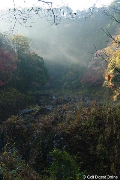 紅葉の始まった渓谷に朝日が差し込む(撮影:リコー CX4/今岡涼太)
