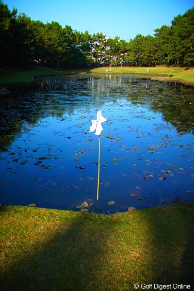 2010年 LPGAツアーチャンピオンシップリコーカップ事前情報 みそぎ池