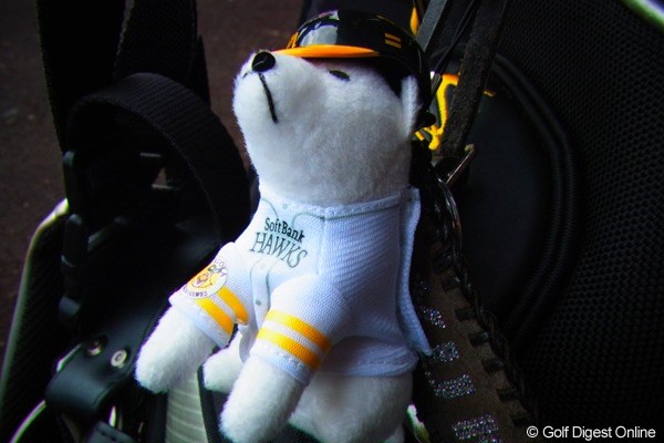 2010年 LPGAツアーチャンピオンシップリコーカップ事前情報 ソフトバンク犬 馬場プロのキャディバッグにはソフトバンクのお父さん犬が。「ソフトバンクファンではないんですが、色がバッグに合っているので…」と馬場（撮影：リコー CX4／今岡涼太）