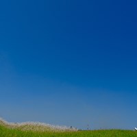 青と緑の狭間をゆく 2024年 ～全英への道～ミズノオープン 3日目 塚田陽亮