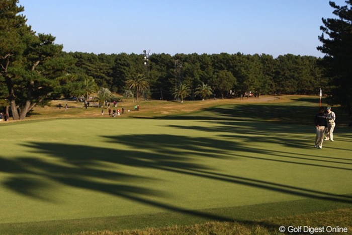 ヤシの木の影がグリーンに落ち、南国ムード漂う宮崎CCです。 2010年 LPGAツアーチャンピオンシップリコーカップ 2日目 18番グリーン
