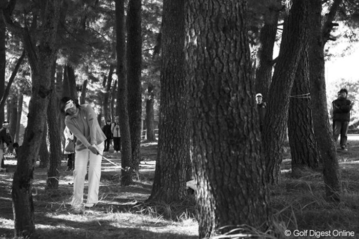 松の木が密集する宮崎CCでは、林に入れたら出すだけですね。 2010年 LPGAツアーチャンピオンシップリコーカップ3日目 福嶋晃子