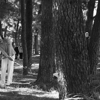 松の木が密集する宮崎CCでは、林に入れたら出すだけですね。 2010年 LPGAツアーチャンピオンシップリコーカップ3日目 福嶋晃子