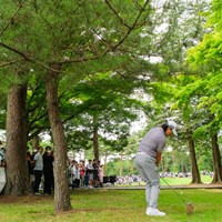 Hole1は林へ 2024年 BMW 日本ゴルフツアー選手権 森ビルカップ 最終日 石川遼