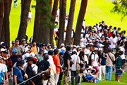2024年 BMW 日本ゴルフツアー選手権 森ビルカップ 最終日 ギャラリー