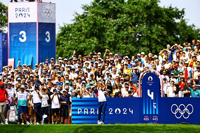 ニトロフラール ネオ キミカ リーフレット