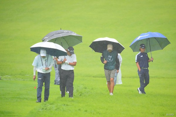 2024年 フジサンケイクラシック 2日目 ボール探し 雨で煙ったコース。フォアキャディさんもボールを見失う。深いラフにボールが入るとなかなか見つからない。