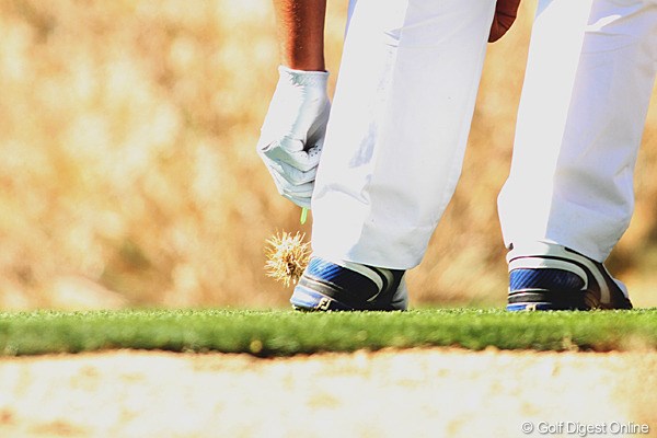 2011年 WGC アクセンチュアマッチプレー選手権 2日目 サボテン