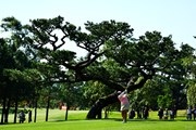 2024年 JLPGAツアーチャンピオンシップリコーカップ 2日目 鈴木愛