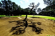 2024年 JLPGAツアーチャンピオンシップリコーカップ 3日目 桑木志帆