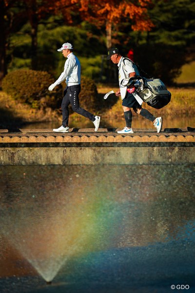 虹の橋