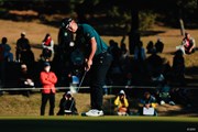2024年 ゴルフ日本シリーズJTカップ 最終日 木下稜介