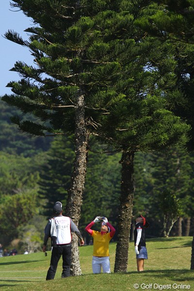 2011年 ダイキンオーキッドレディスゴルフトーナメント 2日目 金田久美子 金田久美子は18番の第2打が木になってしまい、ロストボール！残念