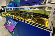 2025年 TGL第8戦 グリーン 事前