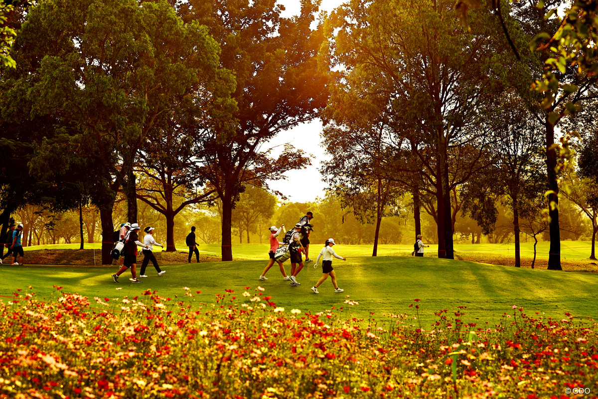 この日もテンポよく18ホールを回った