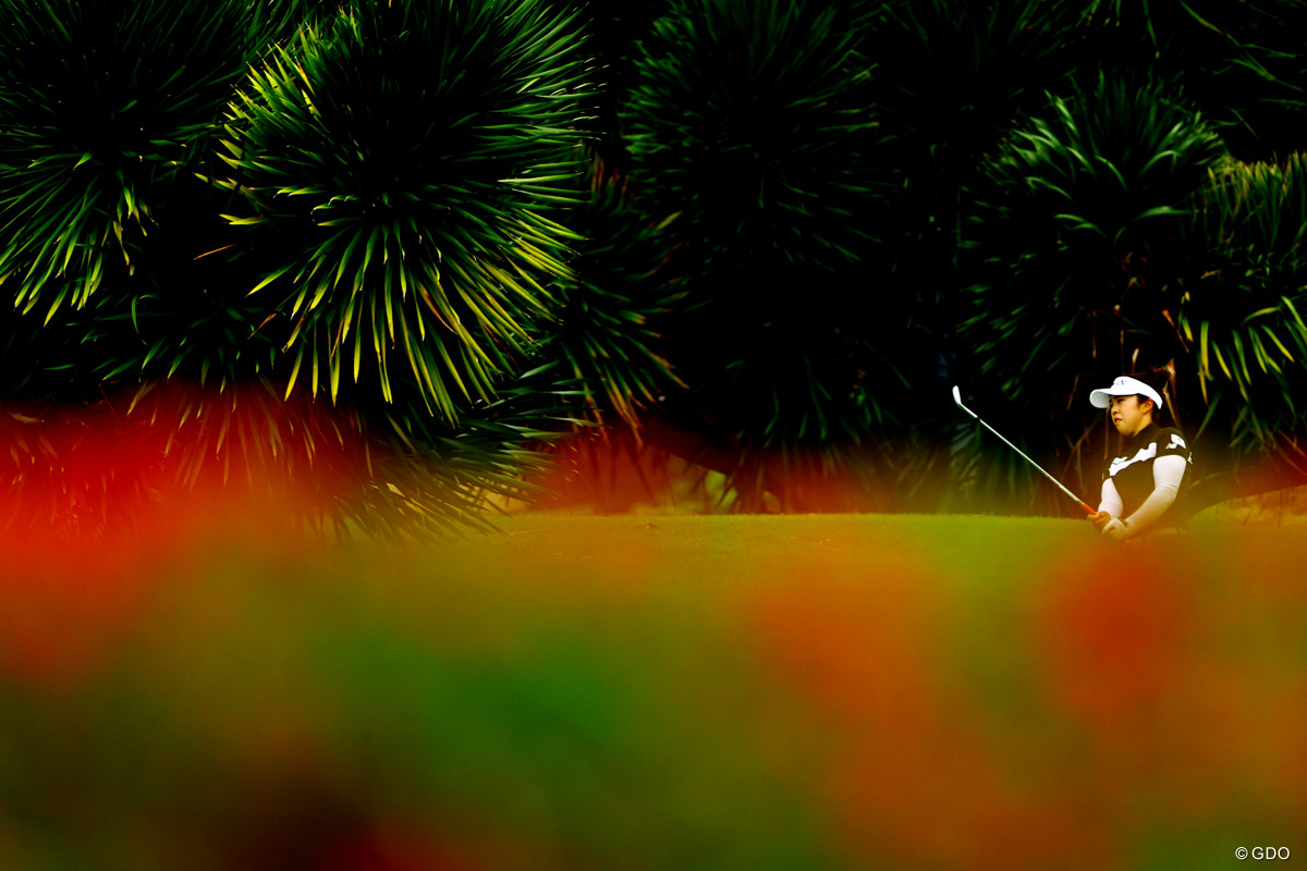 日本で2週間のスイングチェックを終えて