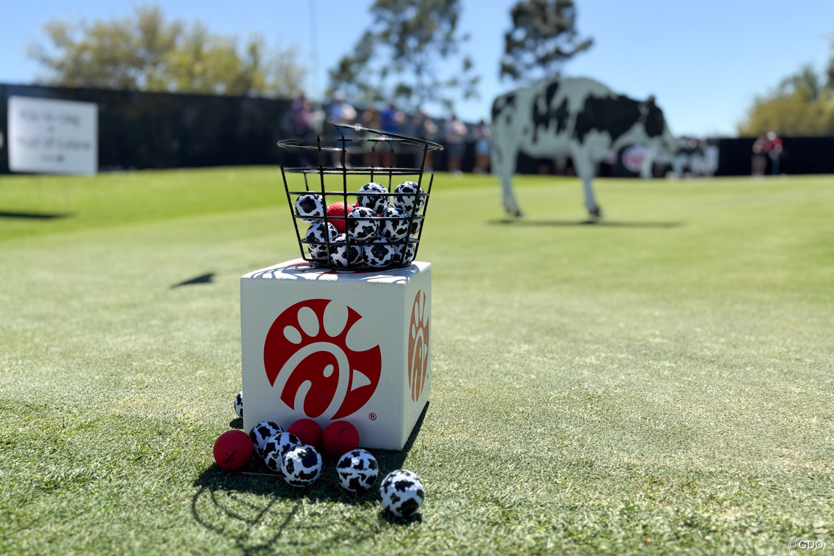 イベント会場のボールもホルスタイン柄 2025年 アーノルド・パーマー招待byマスターカード ボール