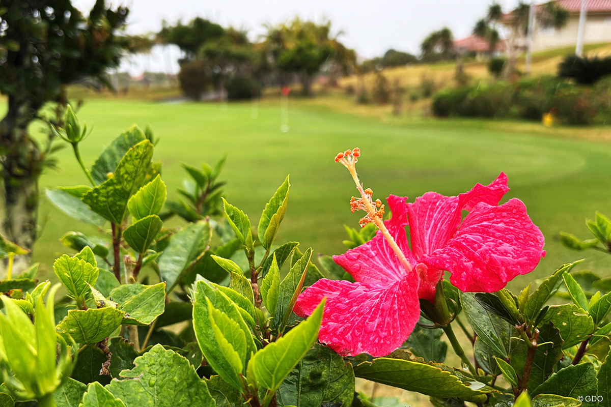 「ジャングル秘境からの絶景シーサイド そのギャップたるや」カヌチャゴルフコース／ゴルフ場Gメンが行く#5