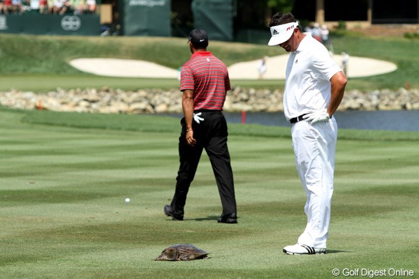 2011年 アーノルド・パーマーインビテーショナル 最終日 タイガー・ウッズ