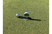 2025年 Vポイント×SMBC レディスゴルフトーナメント 事前 ファームネスメーター