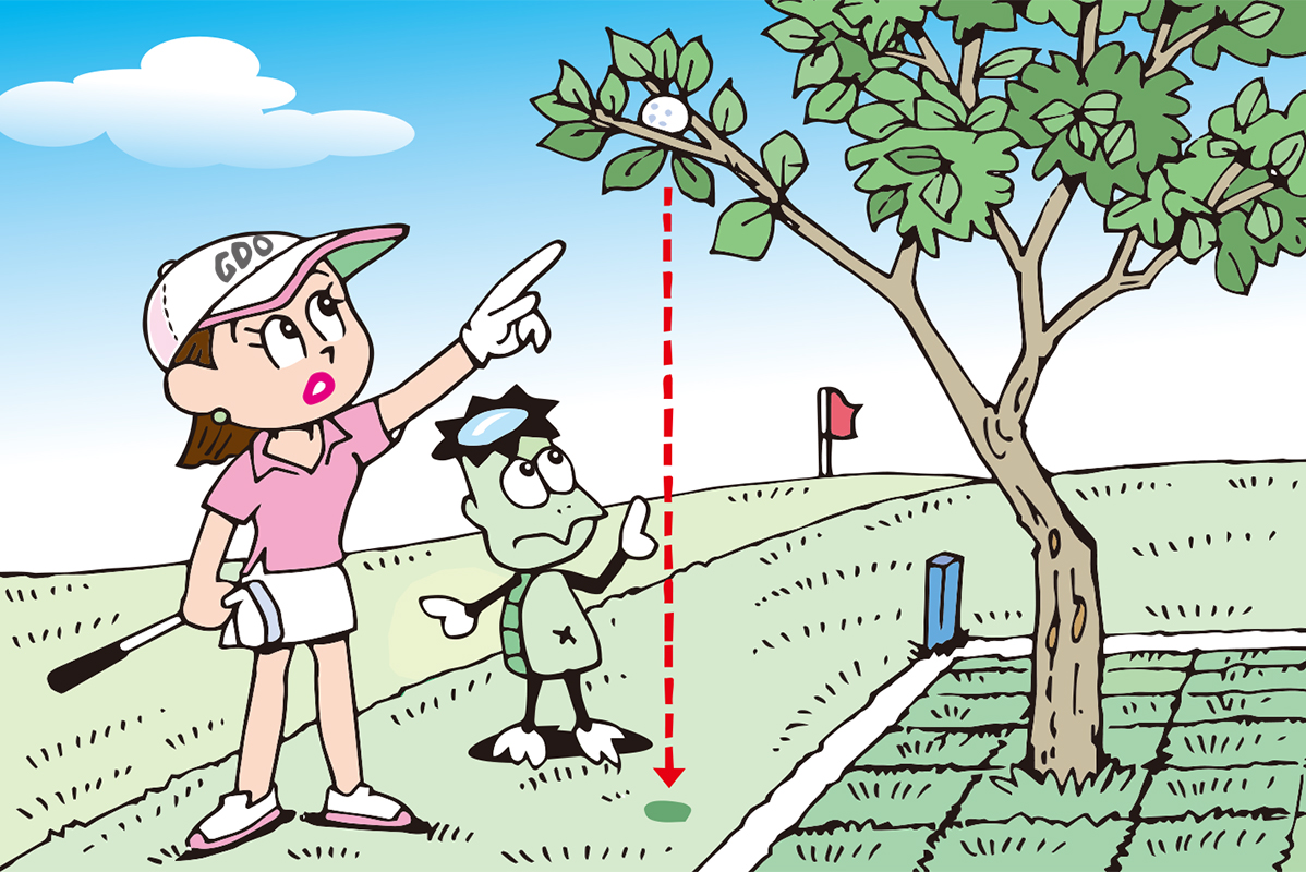 修理地からはみ出た木の上のボール。救済アリ？ナシ？／ルールQ&A