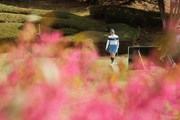 2025年 アクサレディスゴルフトーナメント in MIYAZAKI 初日 新垣比菜