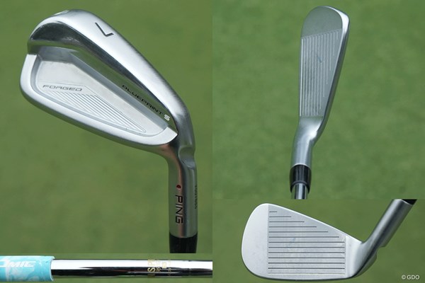 ブルプリSは替えられない