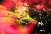2025年 アクサレディスゴルフトーナメント in MIYAZAKI 2日目 ペ・ソンウ