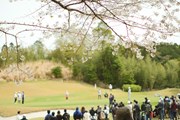2025年 アクサレディスゴルフトーナメント in MIYAZAKI 3日目 花