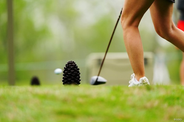 マツボックティ