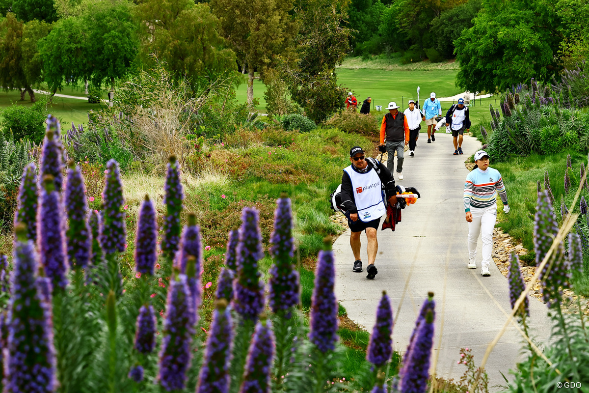 2日目は午後のプレーに