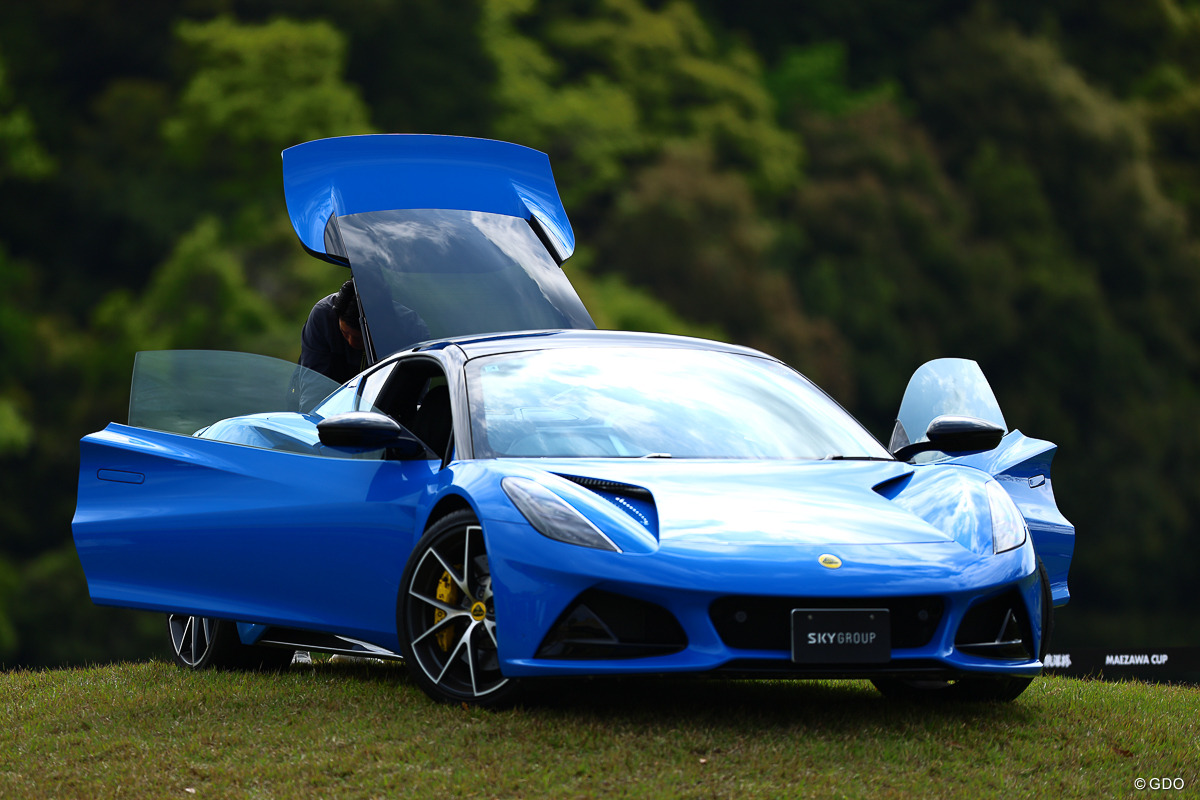 羽を広げてみた