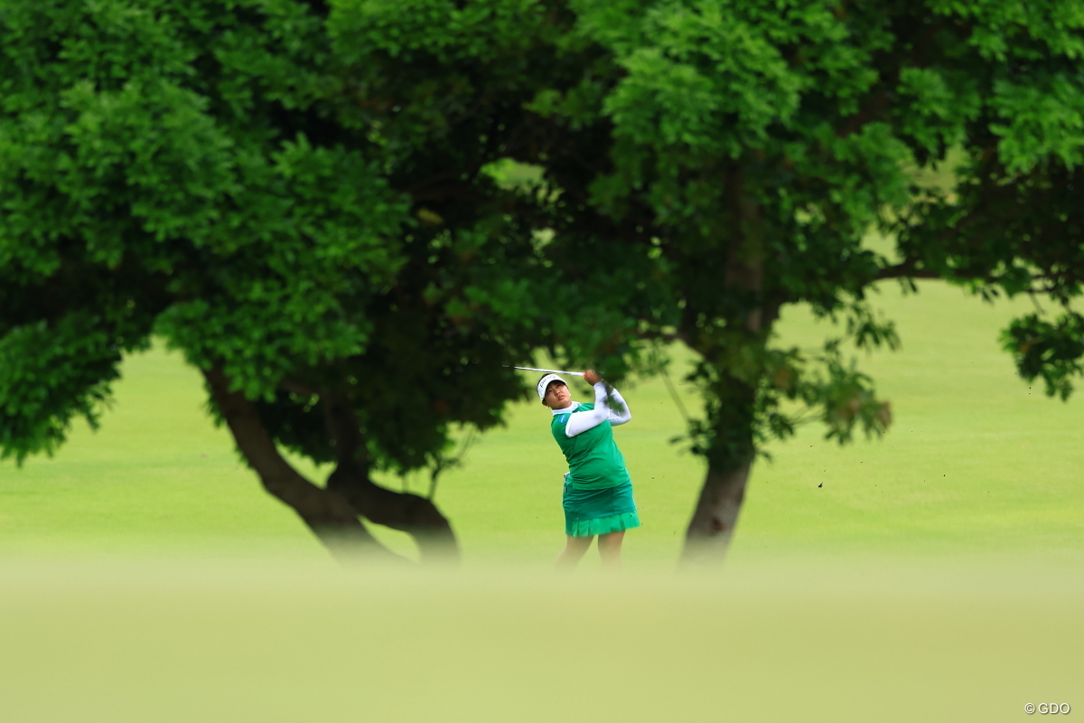 木の間から失礼します