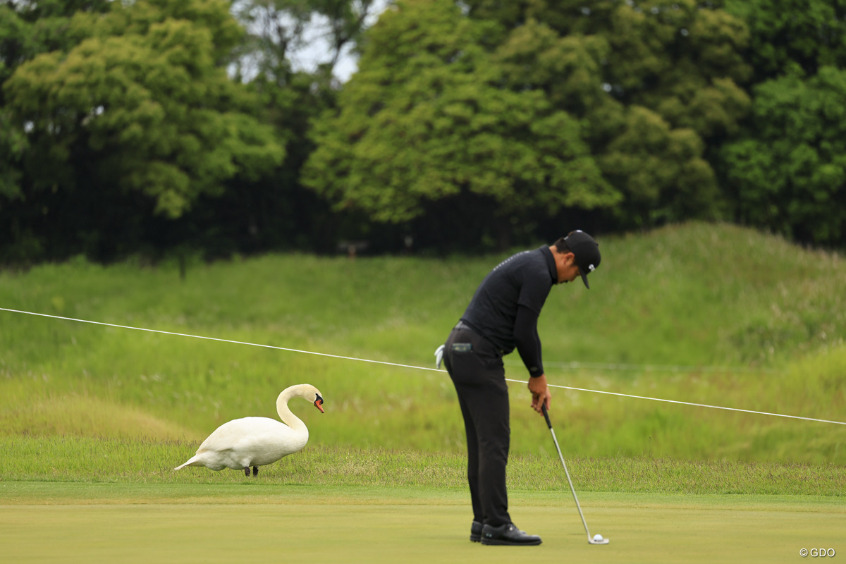 プレー入りますから、今だけお食事中断してくださいね