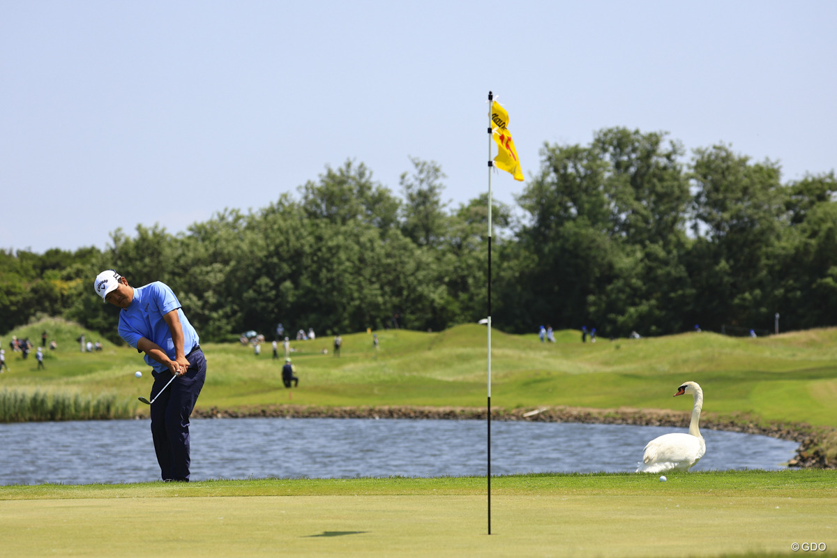 食べちゃわないでね