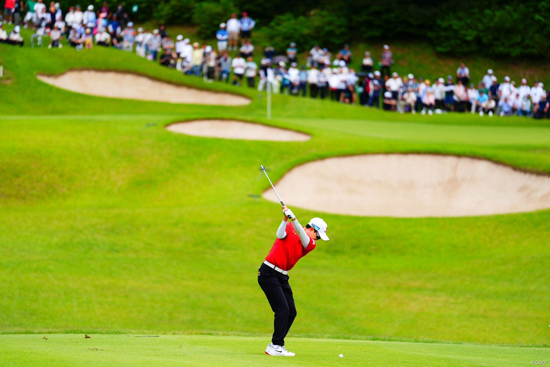 日本と韓国のファンが声援を送った