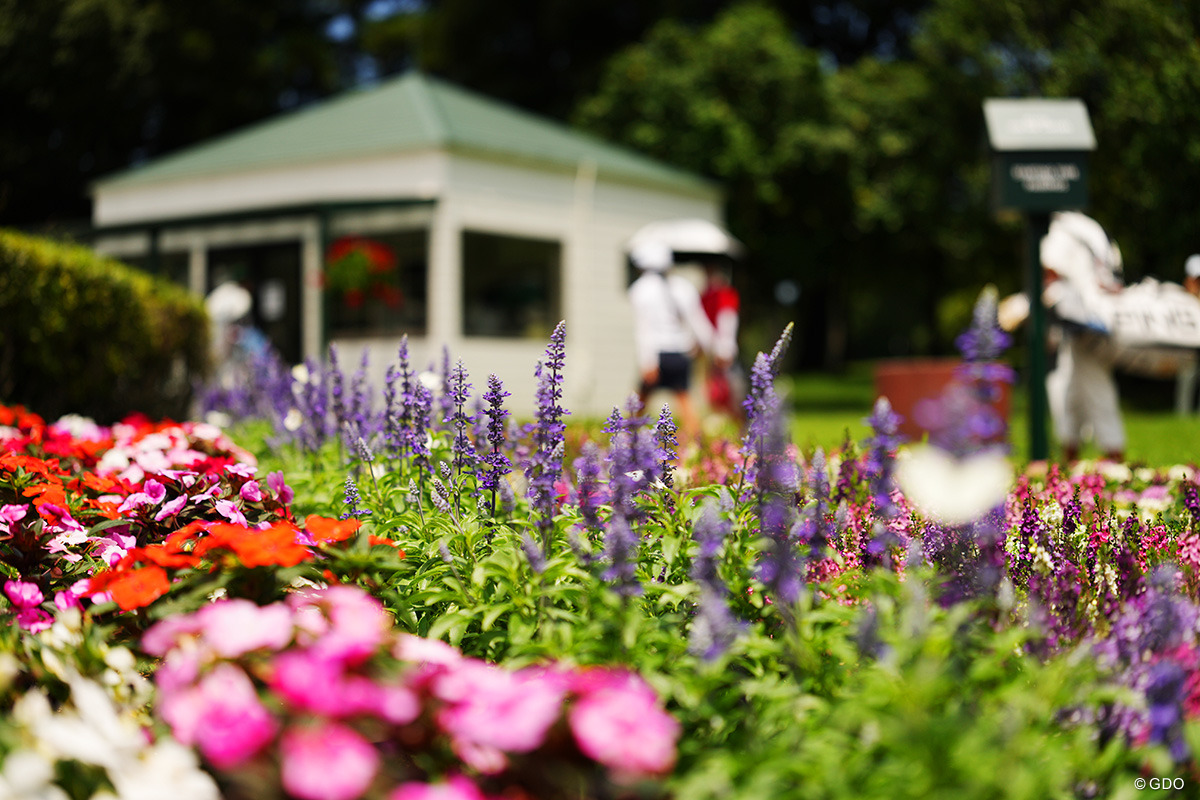 花のあるゴルフ場には蝶が舞う