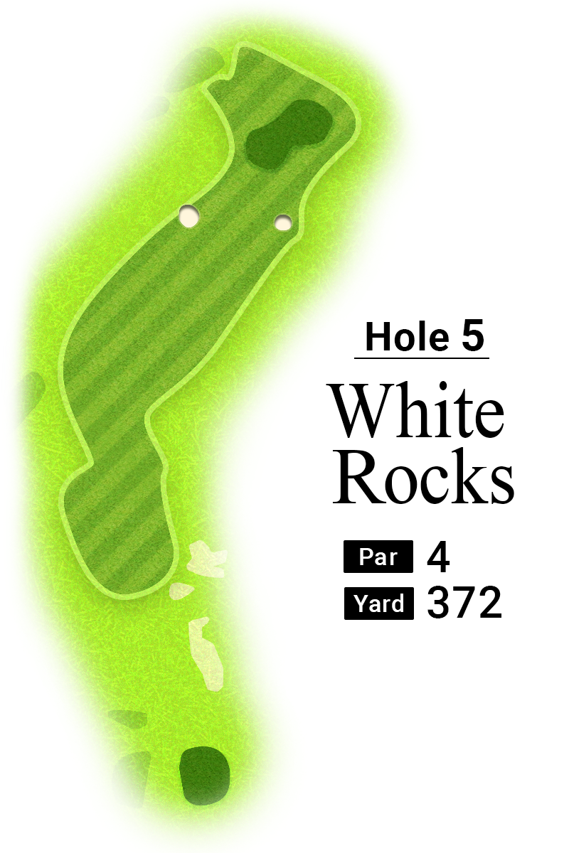 2025年全英オープン5番