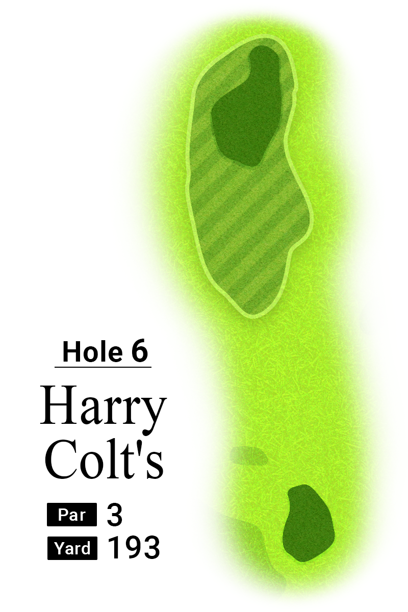 2025年全英オープン6番