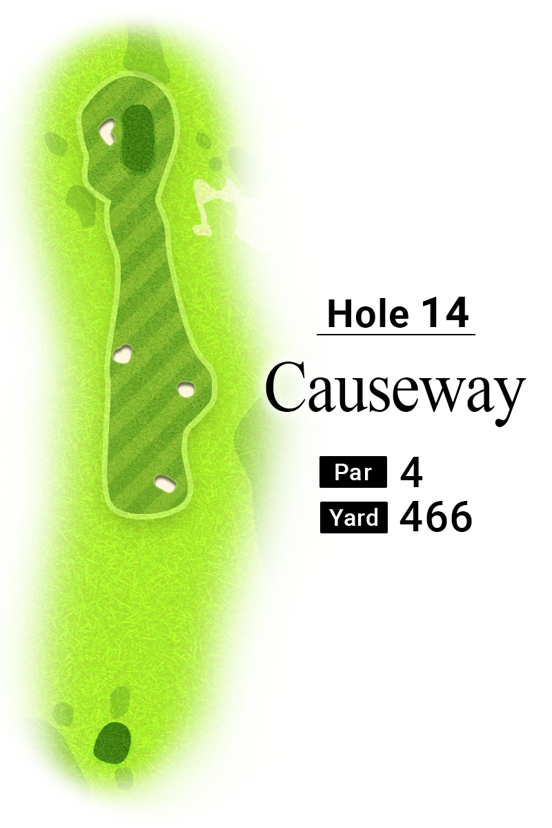 2025年全英オープン14番