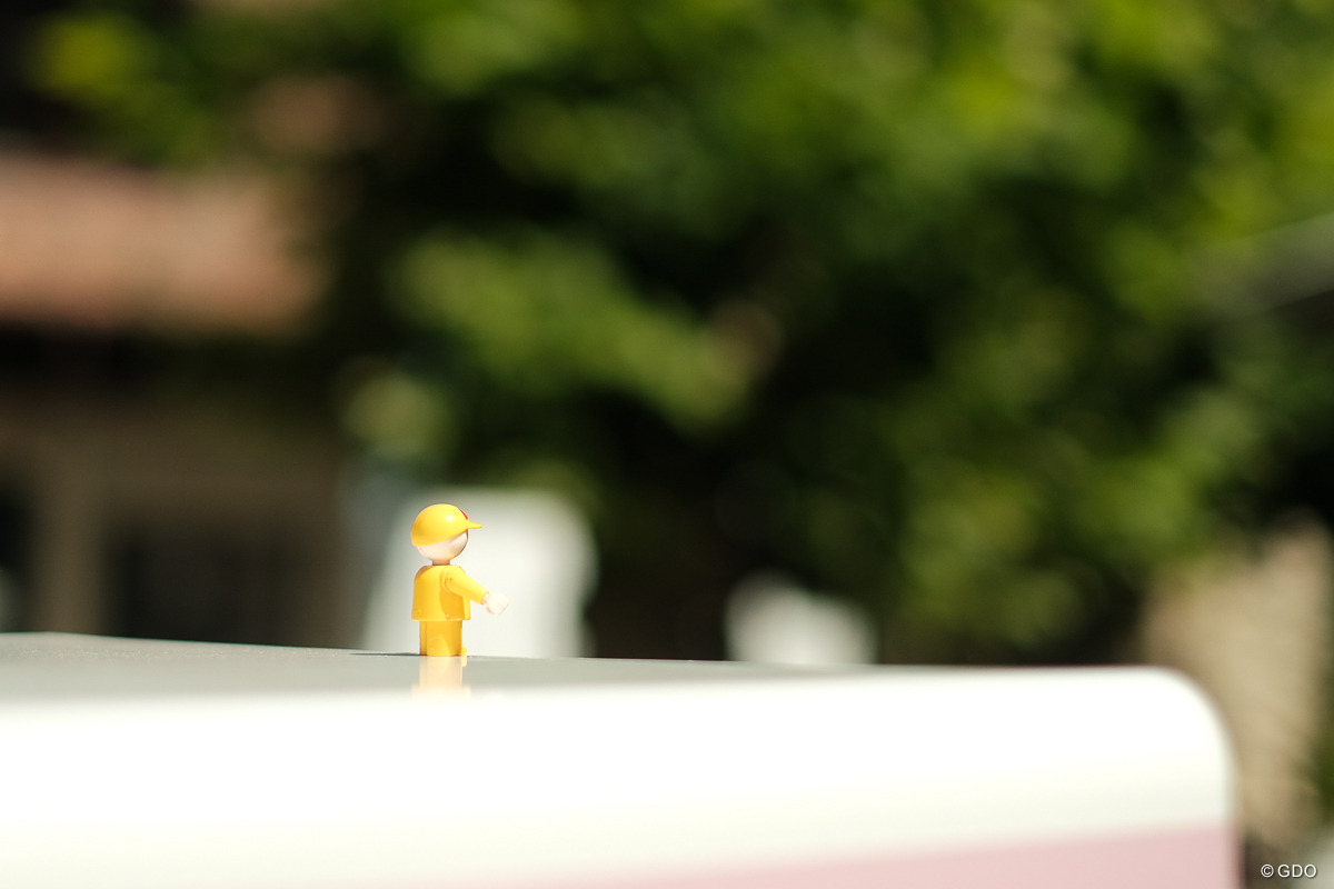 ちっこいのいた