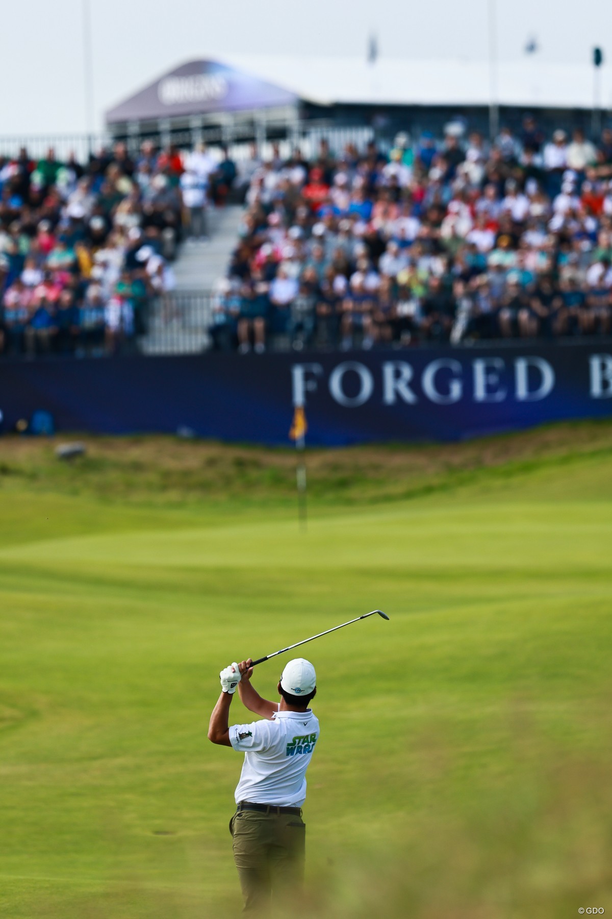 本場の熱量を肌で感じて