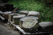 2025年 全英オープン 最終日 THE OPEN