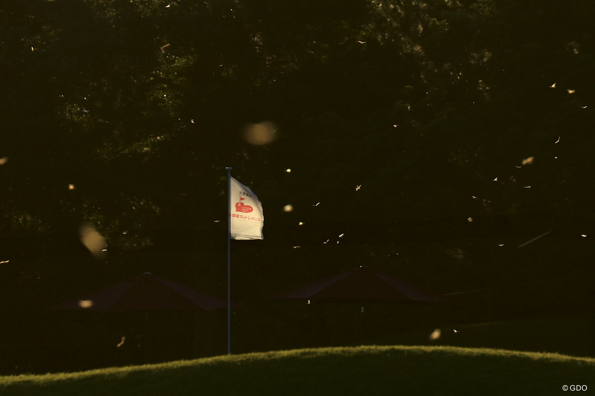 朝6時、トンボは昼行性