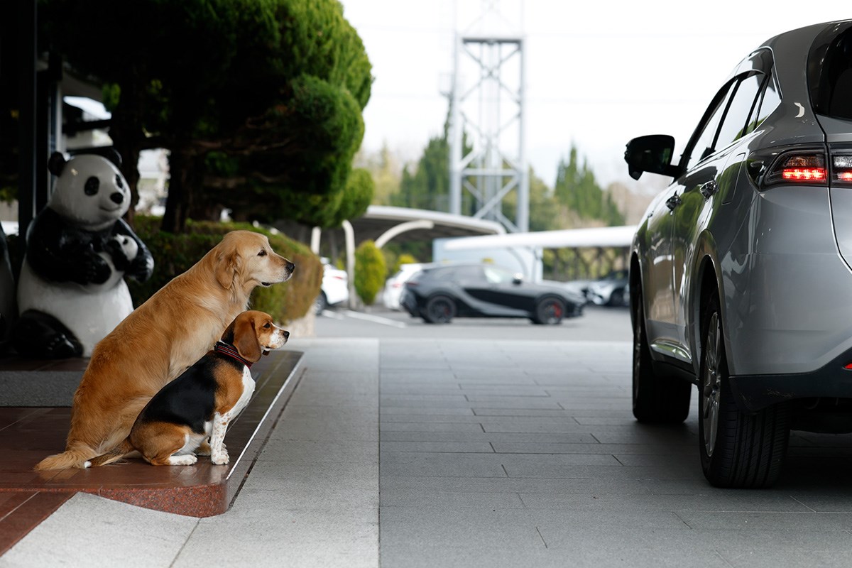 ゴルフ日和 島ヶ原CC