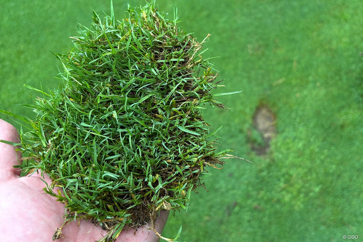 「モンスターコースがさらに難度UPしたぞ」富士桜カントリー倶楽部／ゴルフ場Gメンが行く#9