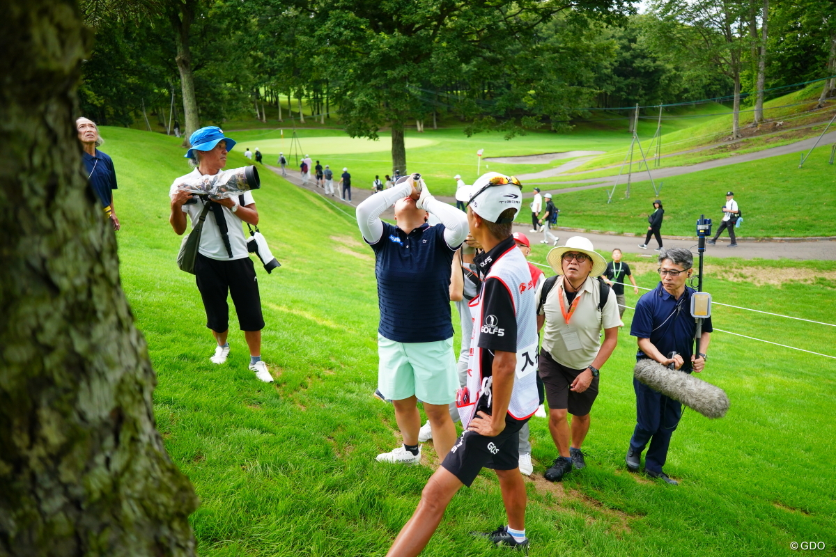 木の枝に引っかかったボールのロゴや数字を確認